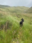 IMG_8298