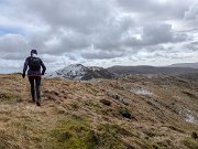 Tussocks Galore on BC race (1)