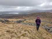Tussocks Galore on BC race (11)