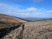 Tussocks Galore on BC race (12)