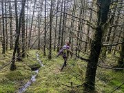 Tussocks Galore on BC race (15)
