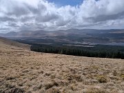 Tussocks Galore on BC race (16)