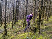 Tussocks Galore on BC race (2)