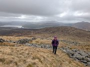 Tussocks Galore on BC race (5)