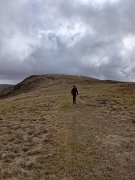 Tussocks Galore on BC race (7)