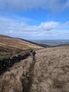 Tussocks Galore on BC race (8)