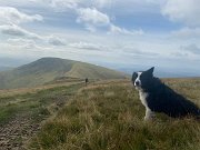 IMG_0431