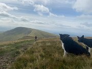 IMG_0432