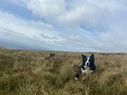 IMG_0443