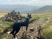 IMG_0471