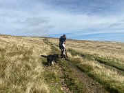 IMG_0478