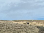 IMG_0482